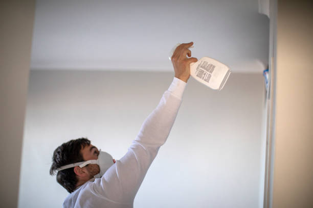 Best Best Mold Removal Companies  in Tustin, CA