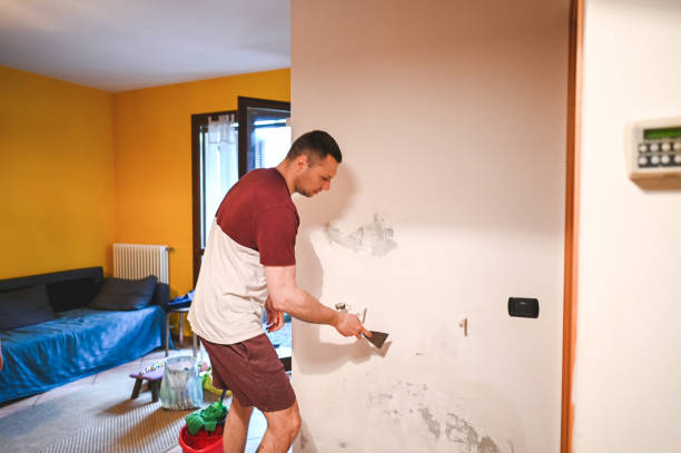 Best Mold Removal Company Near Me  in Tustin, CA